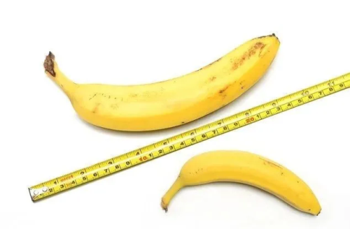 人均18cm?教你如何正确测量DD长度！