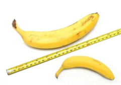 人均18cm?教你如何正确测量DD长度！