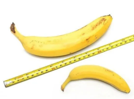 人均18cm?教你如何正确测量DD长度！