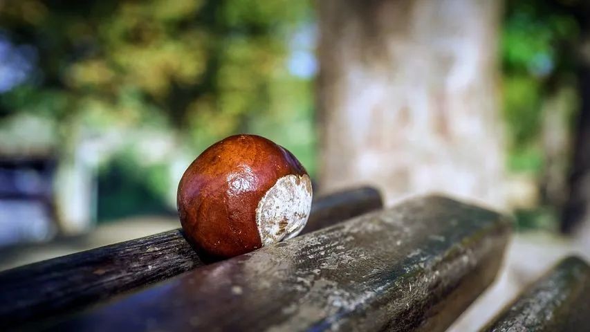 男人的隐藏G点竟是前列腺快感…