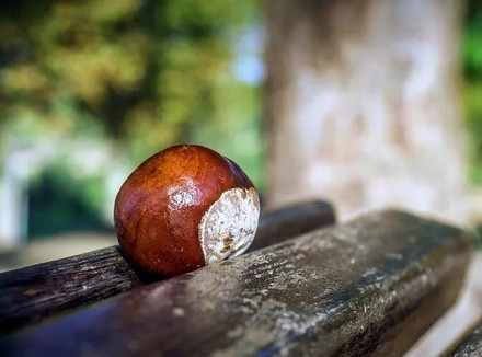 男人的隐藏G点竟是前列腺快感…