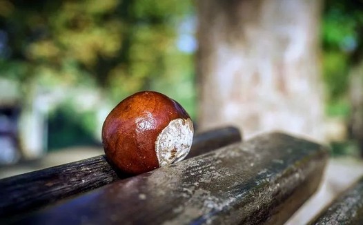 男人的隐藏G点竟是前列腺快感…