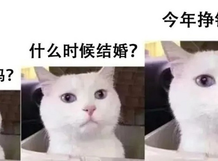 为什么肥胖的男人更易“败性”