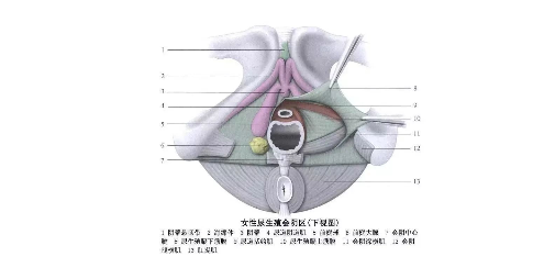 男生指南：如何做好一场前戏？