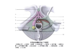 男生指南：如何做好一场前戏？