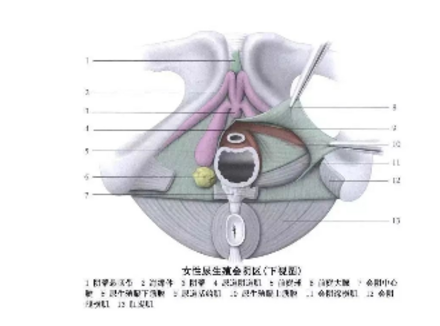 男生指南：如何做好一场前戏？