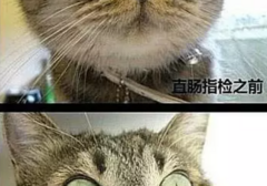 听说前列腺按摩很爽，是真的吗?