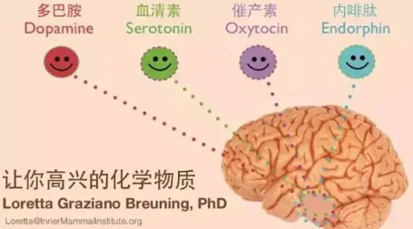 自己增加5-羟色胺的15种方法