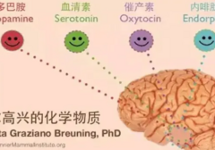 自己增加5-羟色胺的15种方法