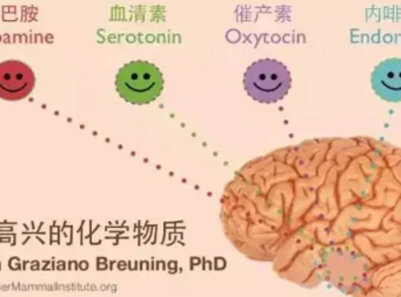 自己增加5-羟色胺的15种方法