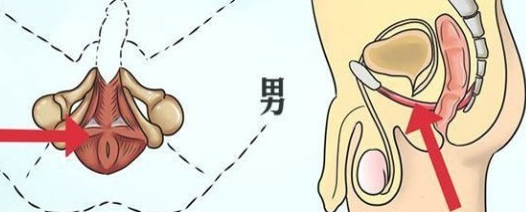 男人想要“强身”，不如试试这2个方法