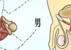 男人想要“强身”，不如试试这2个方法