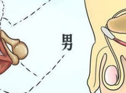 男人想要“强身”，不如试试这2个方法