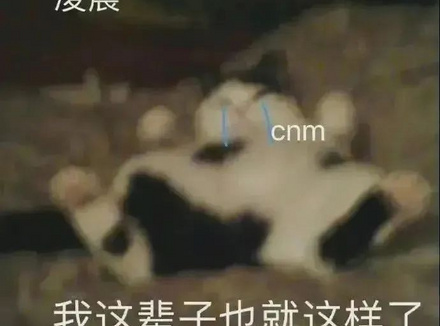 男生的DIY会对身体造成什么影响