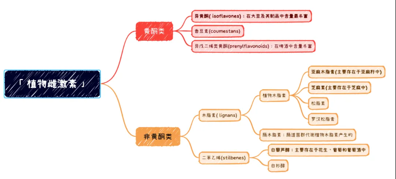 植物雌激素 如何影响雌激素水平？