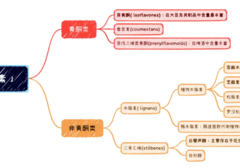 植物雌激素 如何影响雌激素水平？