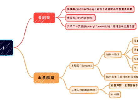 植物雌激素 如何影响雌激素水平？