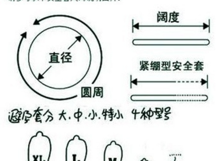 教你套套怎么看型号 怎么正确测量