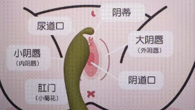 羞羞哒点潮笔——萌新入体引导者