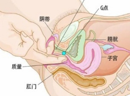 G点真的存在吗？为啥70％女性从未高潮过？