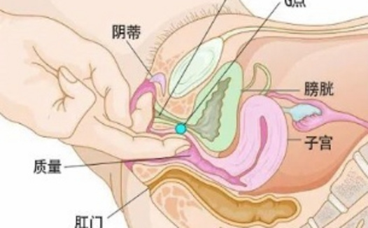 G点真的存在吗？为啥70％女性从未高潮过？