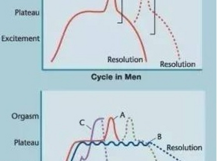 为什么有些女性难以甚至没有体验过性高潮