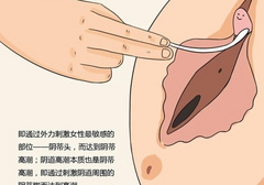 浅聊女性之阴道/蒂高潮