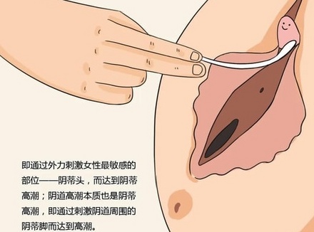 浅聊女性之阴道/蒂高潮