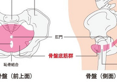 怎么在做的过程中通过夹增强快感