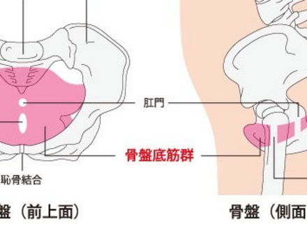 怎么在做的过程中通过夹增强快感