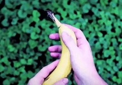 每一个丁丁都有Ta的专属doi姿势