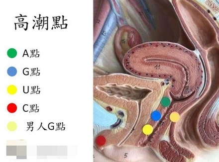 涨姿势：除了C点和G点，你知道A点、U点吗？