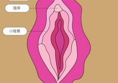 掌握女生超爱的5个口爱新姿势，让ta爽到爆!