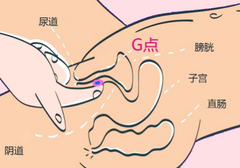最容易高潮的体位，你知道几个？（含实操指南）