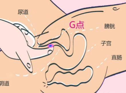 最容易高潮的体位，你知道几个？（含实操指南）