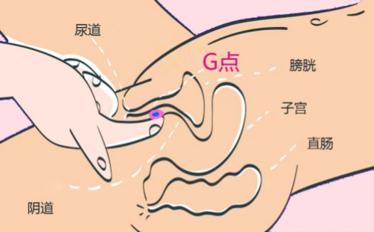 最容易高潮的体位，你知道几个？（含实操指南）