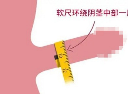 粗度4cm是什么水平？粗度如何测量？