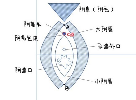 如何通过手指正确找到C点