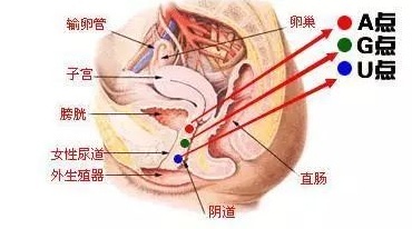 如何正确解锁G点 A点 U点的快乐