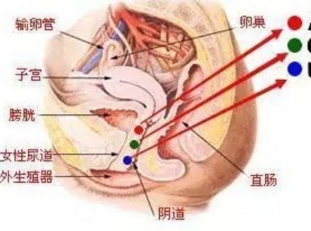 如何正确解锁G点 A点 U点的快乐