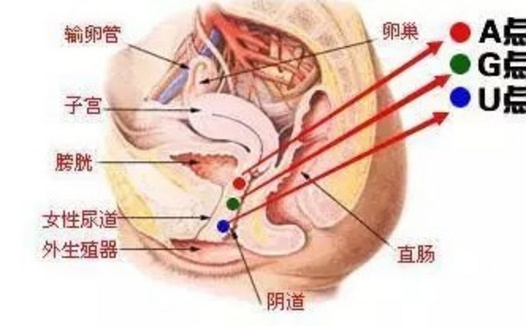 如何正确解锁G点 A点 U点的快乐