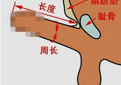 丁丁的尺寸是怎么量的 如何正确测量长度