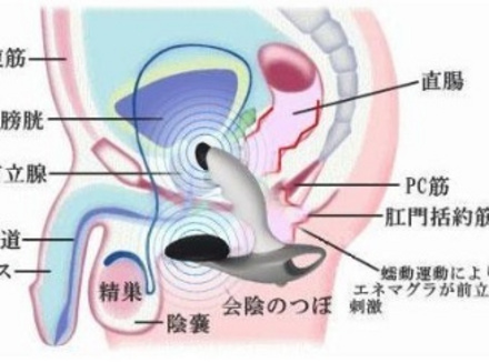 如何正确使用前列腺按摩器