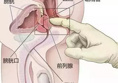 教你如何准确找到男人的P点位置