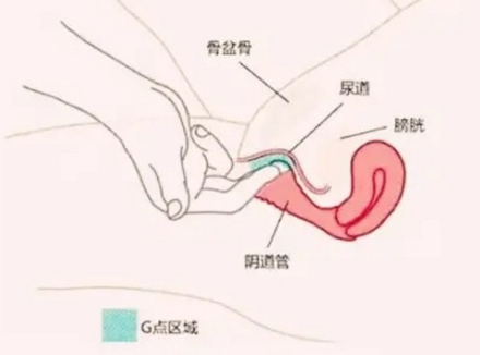 如何增加女生巢吹机会