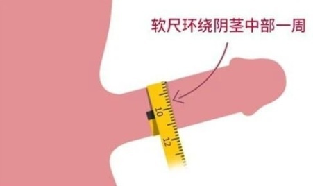 丁丁怎么量粗度（附图）
