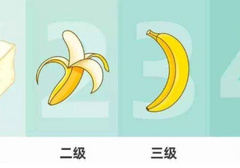 硬度怎么锻炼？凯格尔运动让丁丁变强变硬！