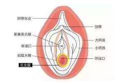 行房找不到位置怎么办