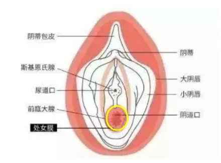 行房找不到位置怎么办