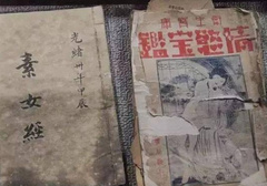 进若蛭步和摆若鳗行具体怎么操作